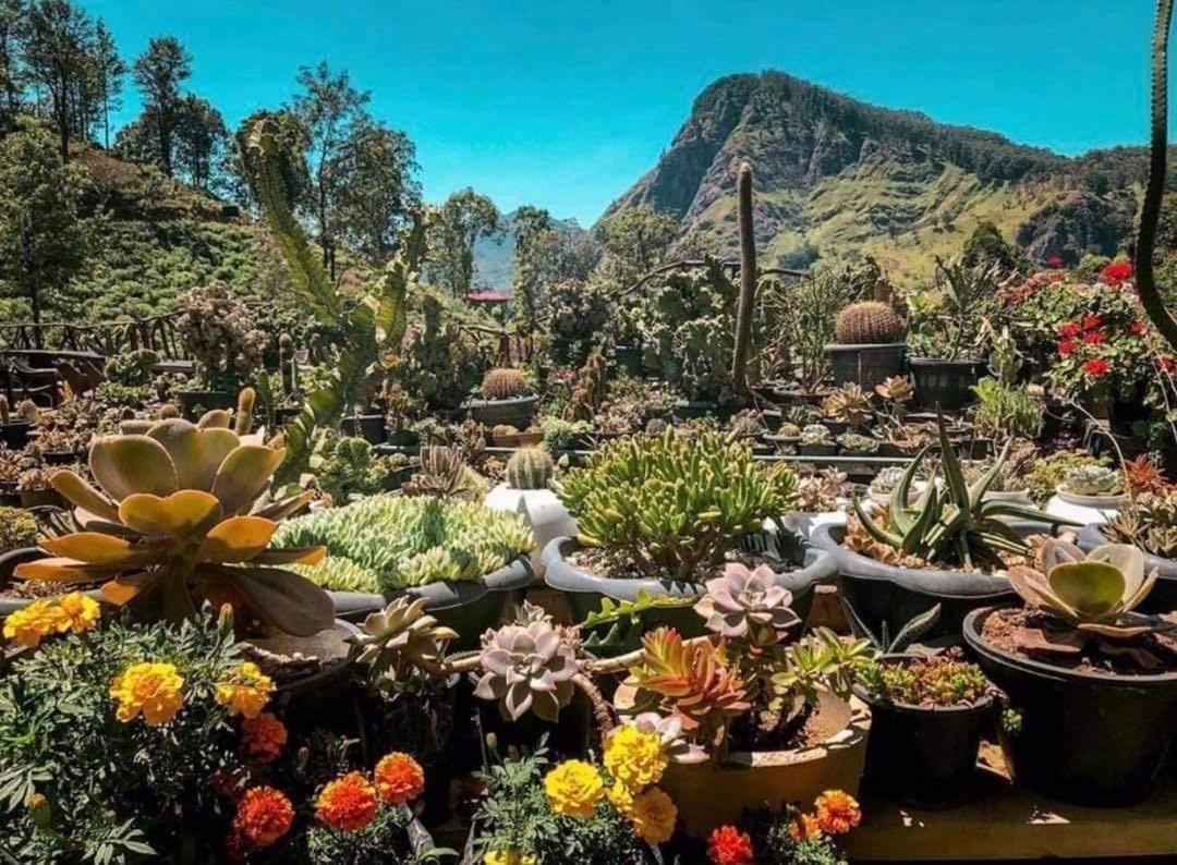 Ella Flower Garden Resort Exterior foto