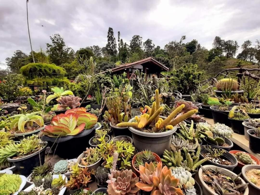 Ella Flower Garden Resort Exterior foto