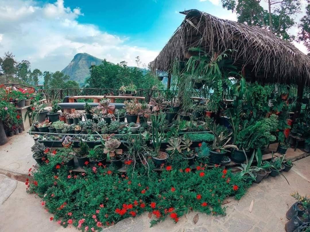 Ella Flower Garden Resort Exterior foto