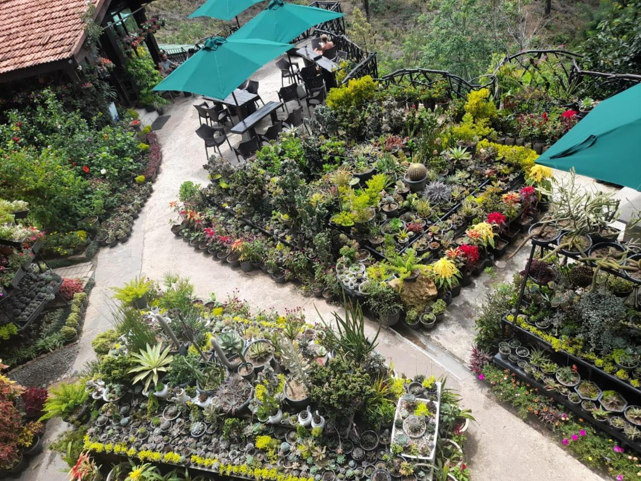 Ella Flower Garden Resort Exterior foto