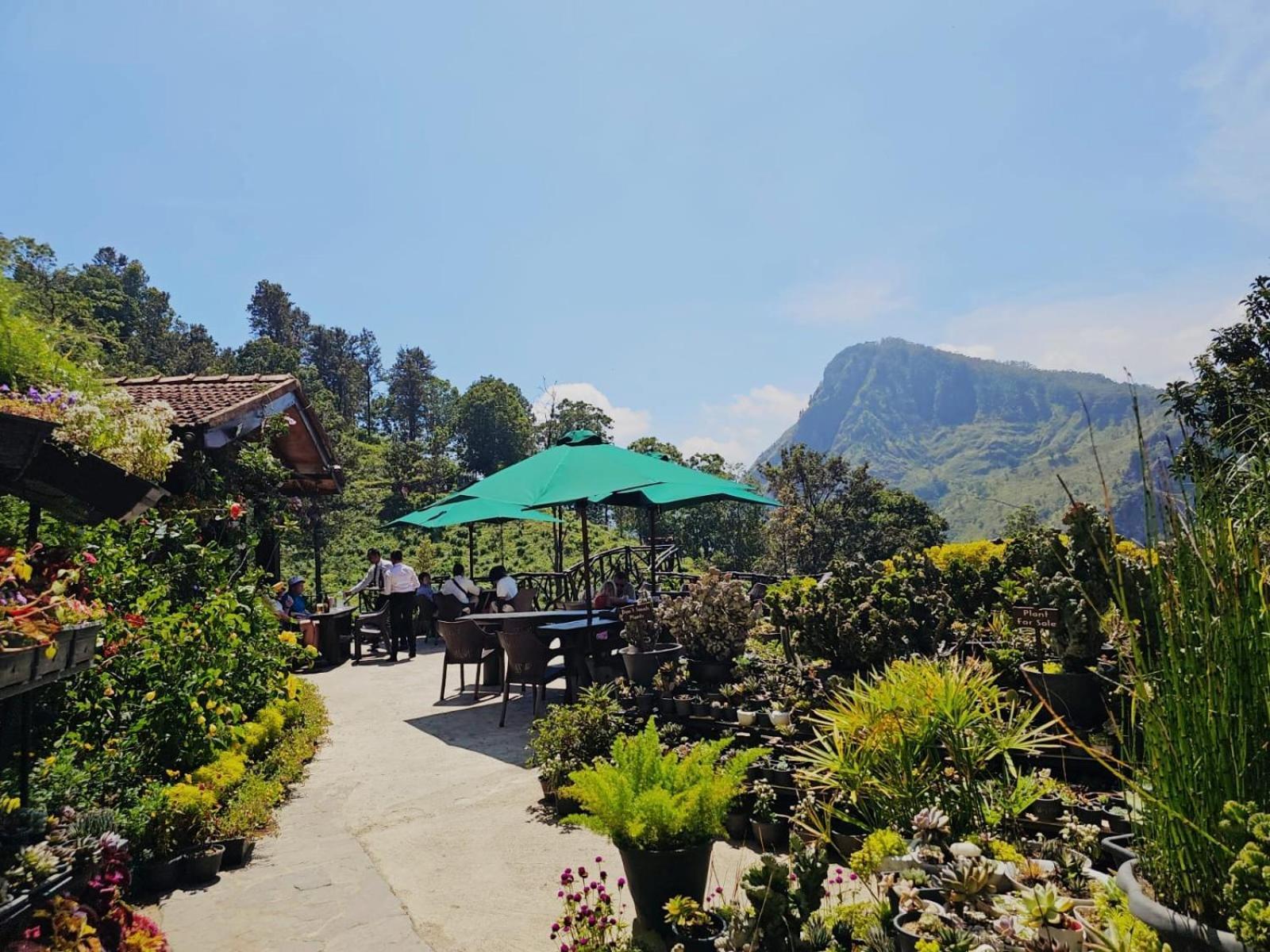 Ella Flower Garden Resort Exterior foto