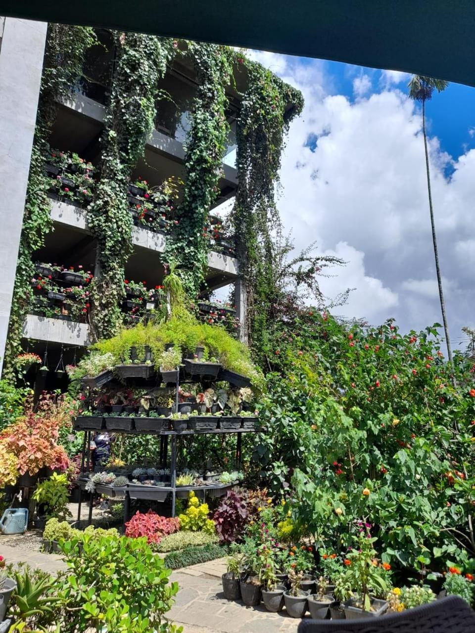 Ella Flower Garden Resort Exterior foto