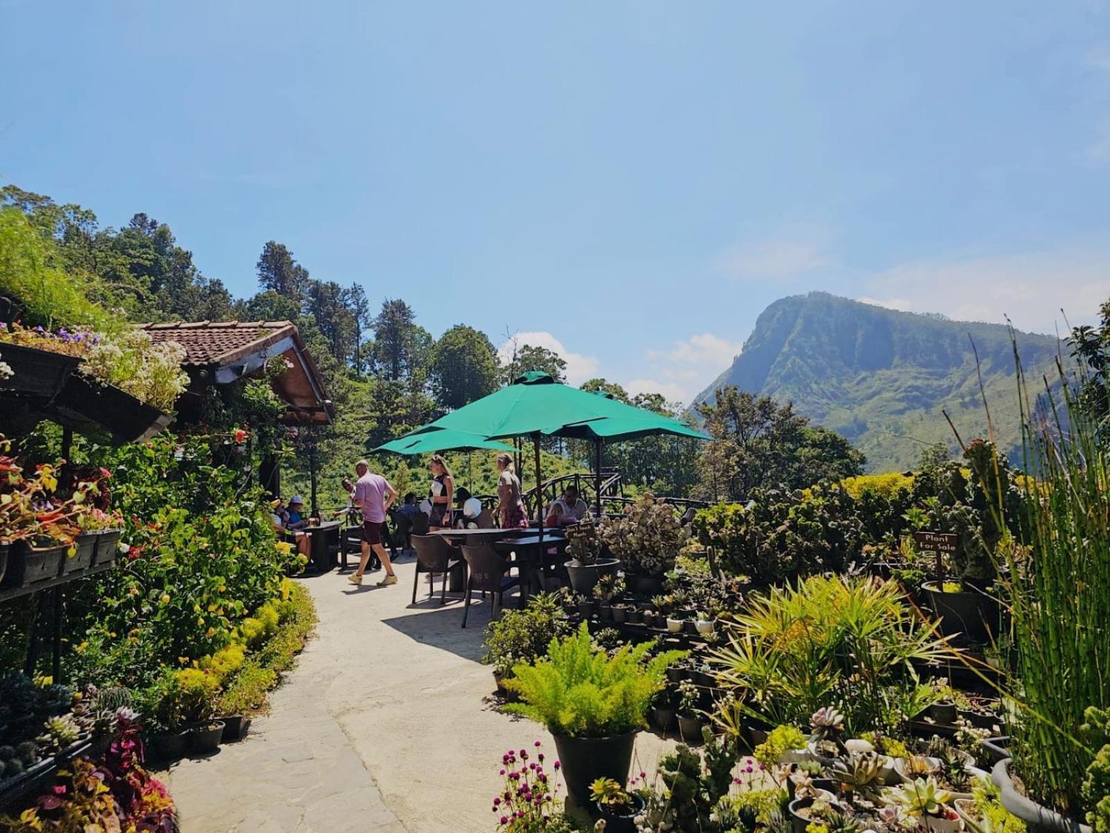 Ella Flower Garden Resort Exterior foto