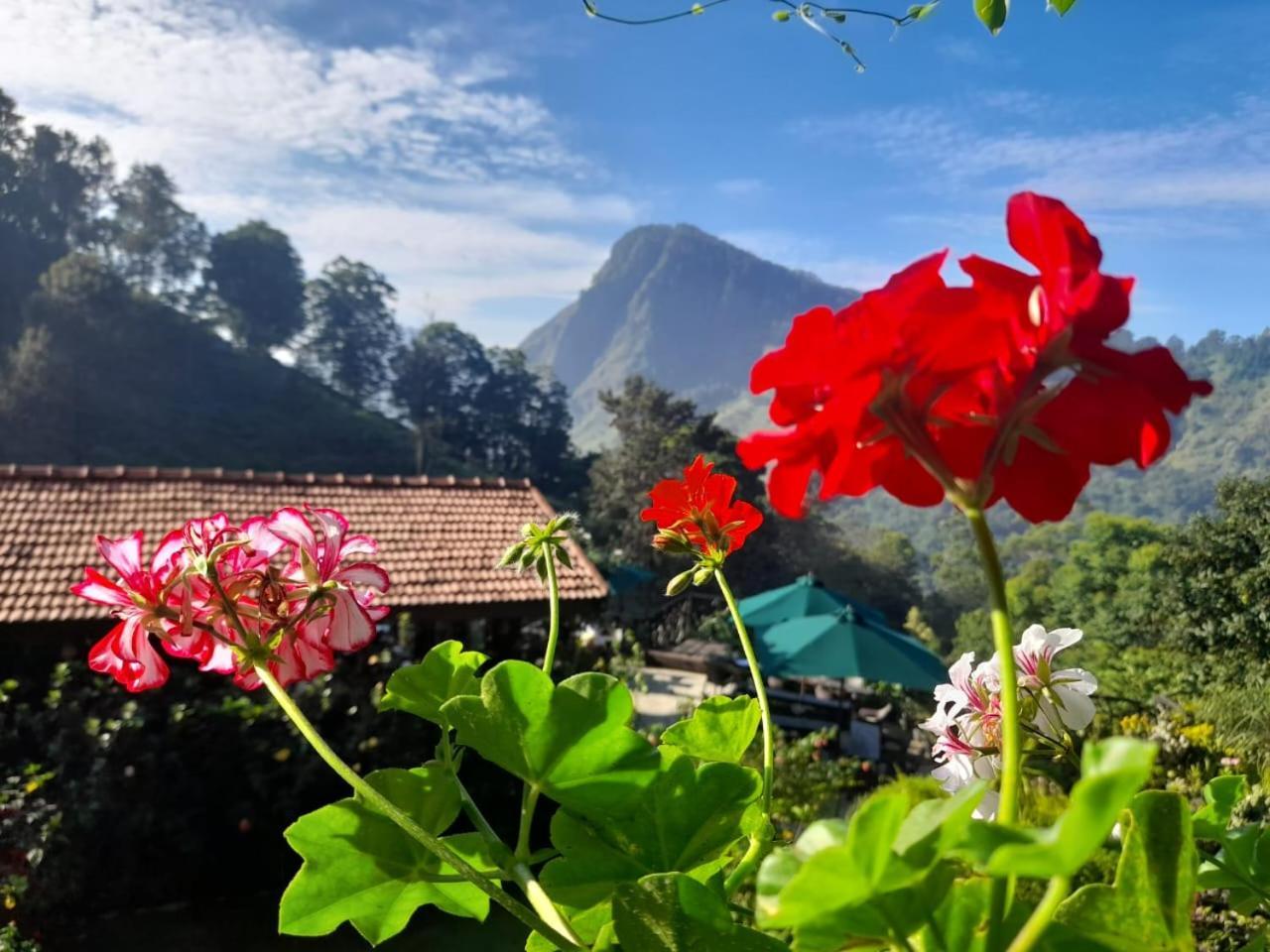 Ella Flower Garden Resort Exterior foto