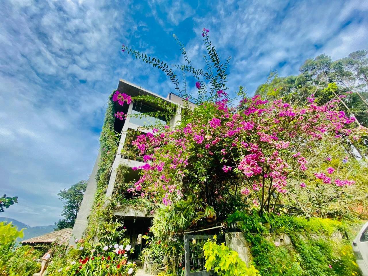 Ella Flower Garden Resort Exterior foto